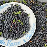 Da Marco&caterina Bed and breakfast Posada (Sardinia)