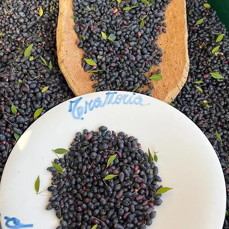 Da Marco&caterina Oda ve Kahvaltı Posada (Sardinia)