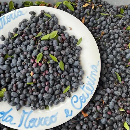 Da Marco&caterina Bed and breakfast Posada (Sardinia)